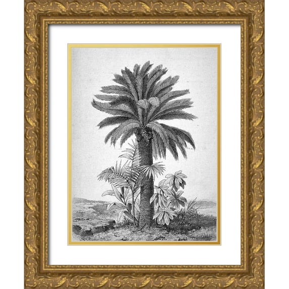 BRAUN Studio 12x14 Gold Ornate Wood Framed with Double Matting Museum Art Print Titled - Palmier