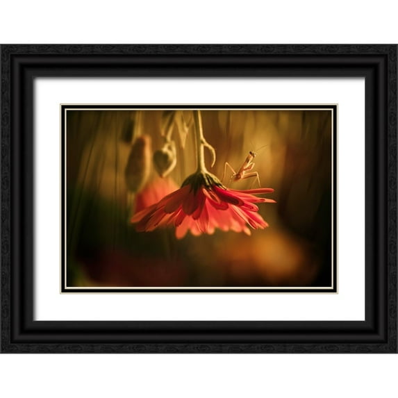 BRAVIN, Fabien 18x13 Black Ornate Wood Framed with Double Matting Museum Art Print Titled - Nous Venons En Paix