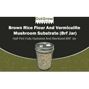 BRF JARS Mushroom Substrate 1 jar
