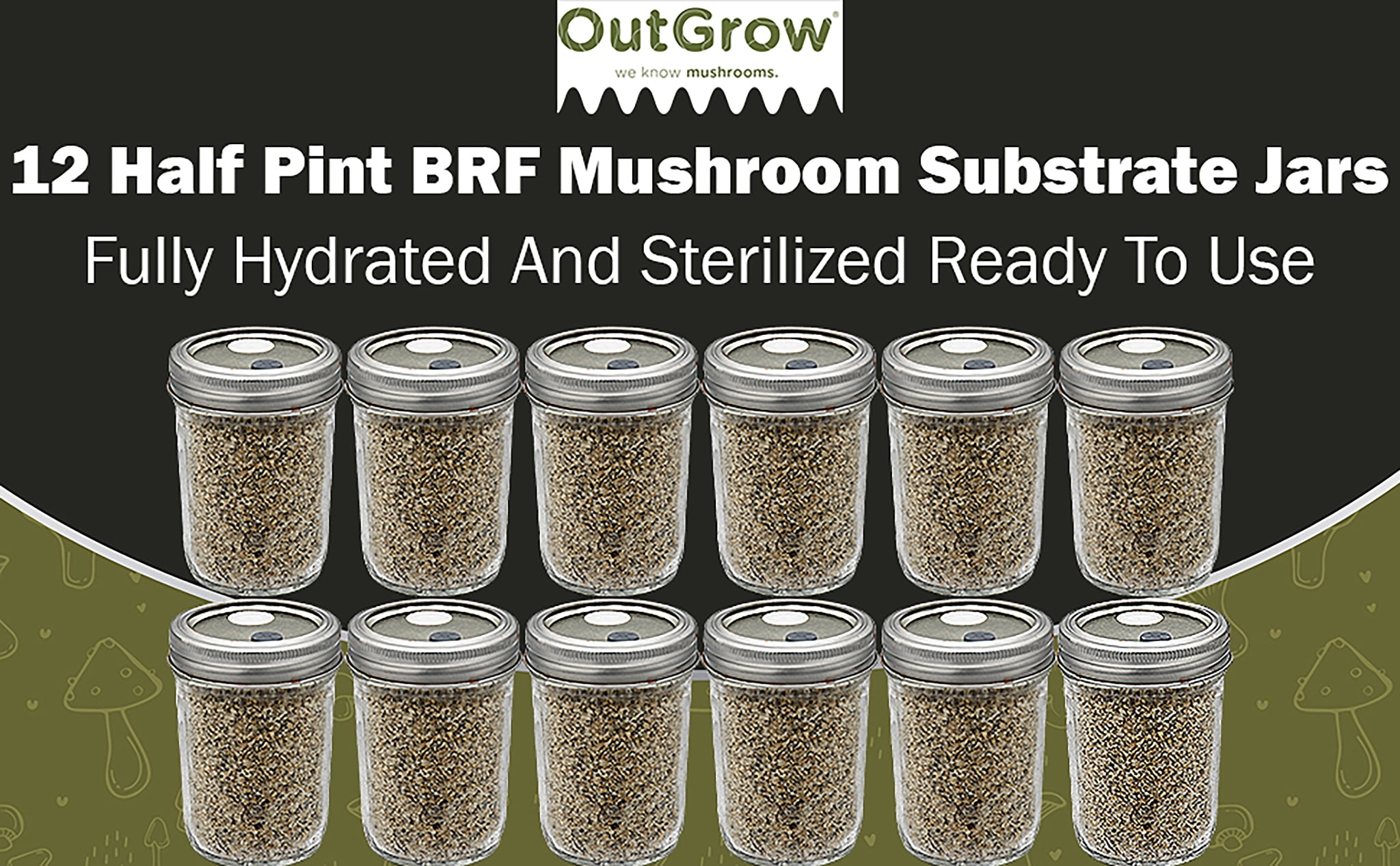BRF JARS Mushroom Substrate | 12 Pack Of Half Pint Jars | Brown Rice Flour And Vermiculite Mix
