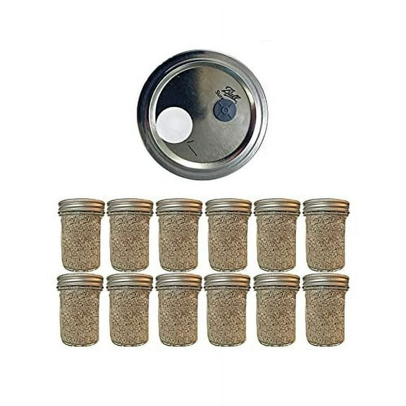 BRF Jars Mushroom Substrate Organic 12 Jars (1P1F)
