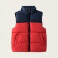 thumbnail image 1 of BRGZLK Kids Zip Up Puffer Vest Hooded Trendy Color-Blocking Stand-Up Collar Quilted Gilet Winter Lightweight Warm Sleeveless Jacket Red 11-12 Years, 1 of 4