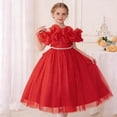 thumbnail image 1 of BRGZLK Toddler Girls Tutu Dresses Formal Elegant Solid Color Sleeveless Round Neck Birthday Party Dress Summer Puff Short Sleeve Tulle Little Girls Dress Red 12-13 Years, 1 of 5