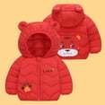 thumbnail image 1 of BRGZLK Toddler Kids Down Puffer Jacket Boys Girls Fall Winter Full-Zip Warm Hooded Coat Fleece Padded Lightweight Versatile Outerwear Red 2-3 Years, 1 of 6