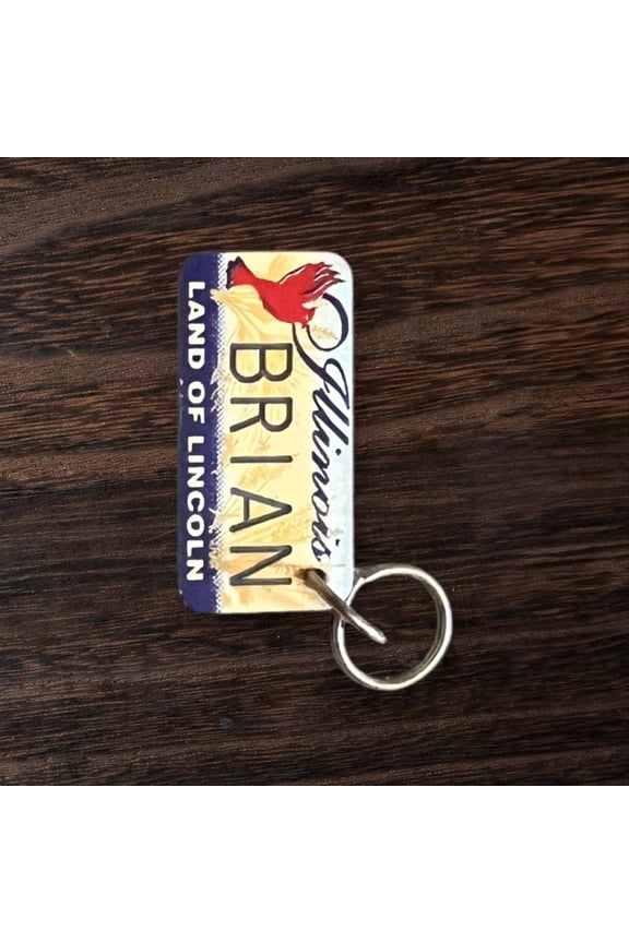 BRIAN Name Keychain License Plate Illinois Land of Lincoln Great Gift 2 New