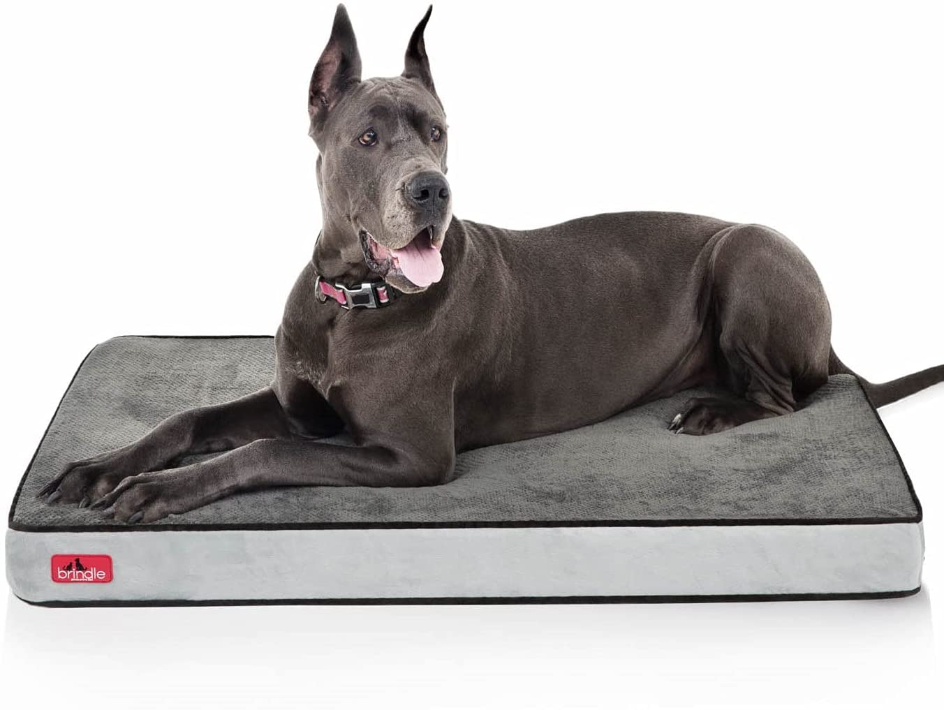 BRINDLE Waterproof Memory Foam Pet Bed Removable and Washable Cover 4 Inch Orthopedic Dog