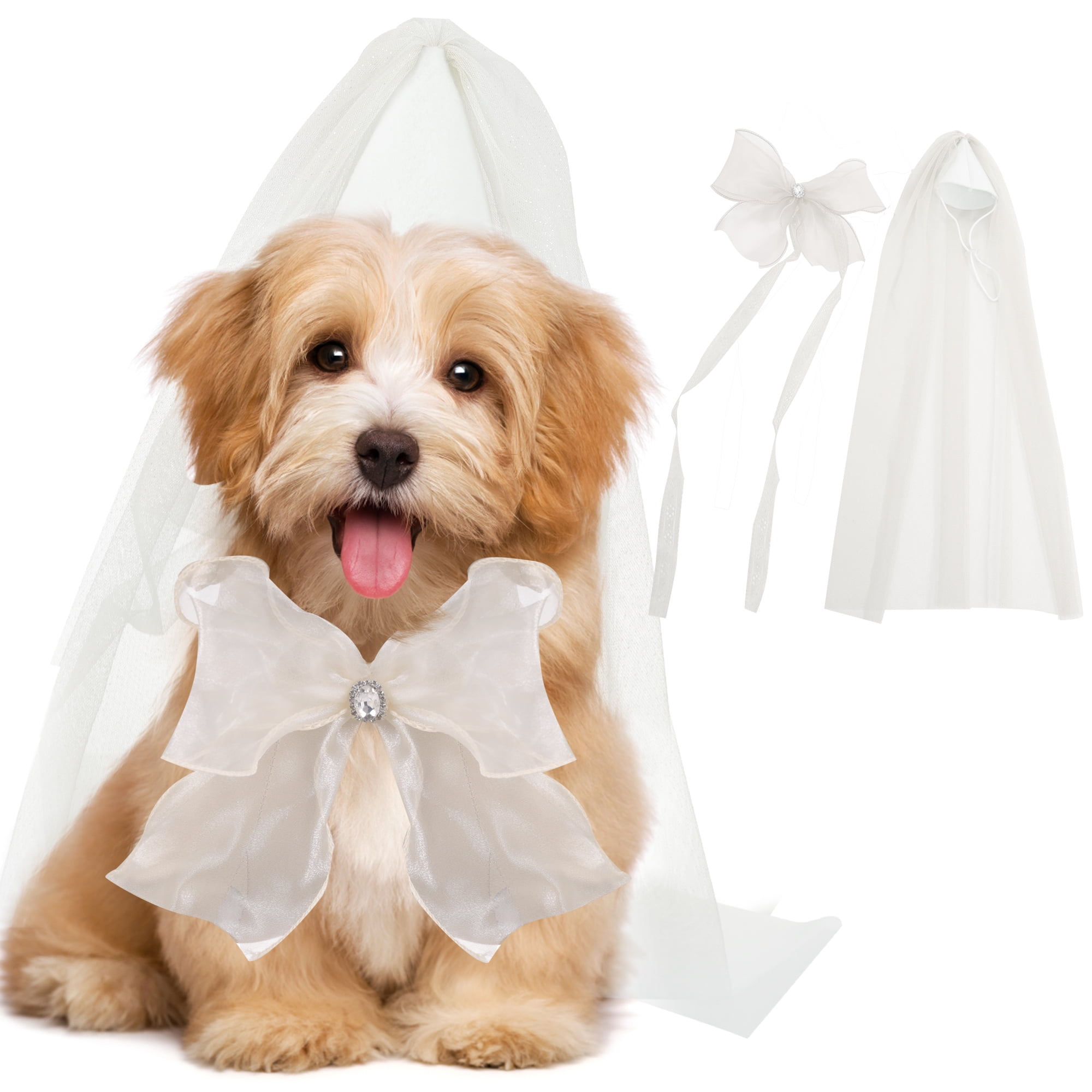 Dogs Choking On Ribbon Accessories preview