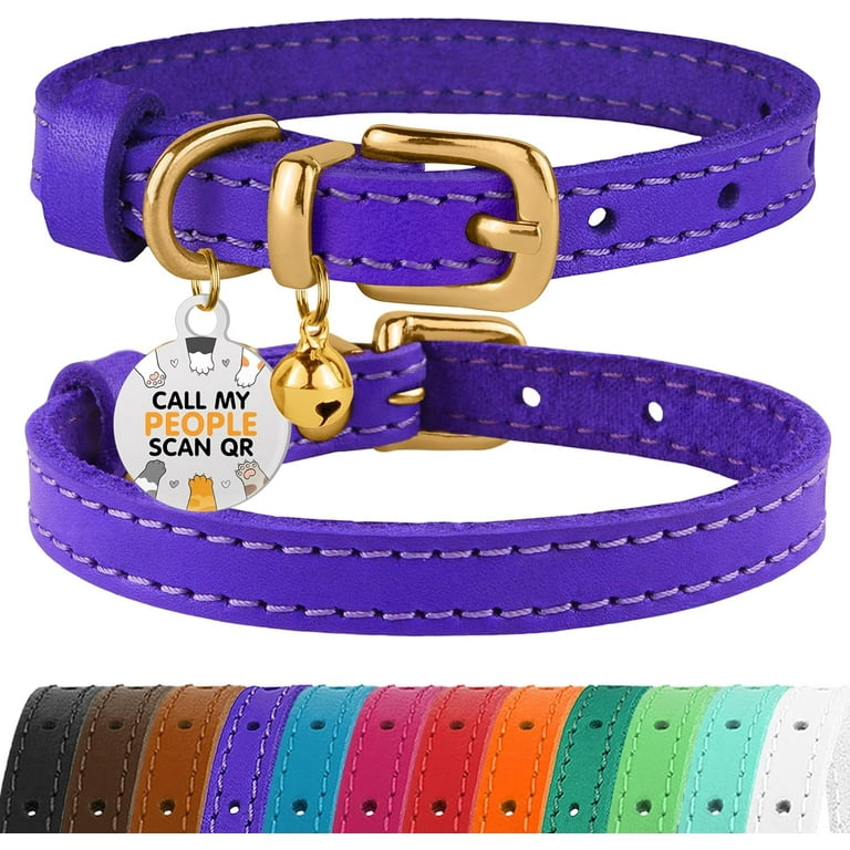 Non breakaway cat collar hotsell