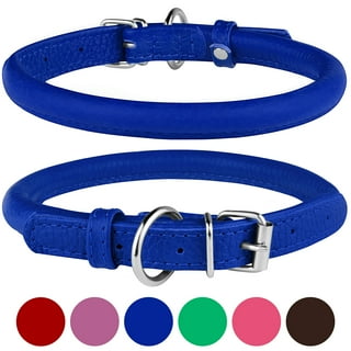 Rolled leather dog collar pets at home 2025
