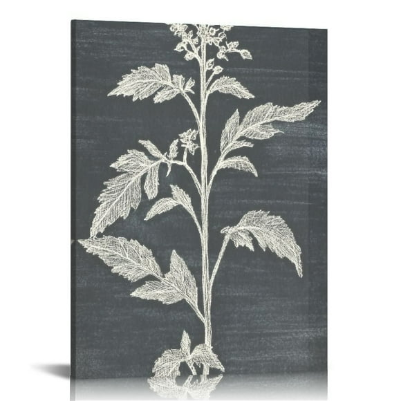 BROOKMAPLES Neutral Botanical Plant Canvas 6 Pieces Rustic Farmhouse Wall Art for Living Room Bedroom and Bathroom,Canvas Paintings Print Set Decor 12"x 16" 12x16in