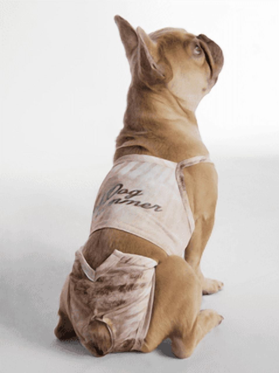 Hot Dog Summer by Megan Thee Stallion Shell Bloom Barkini Dog Bikini, Beige, Large