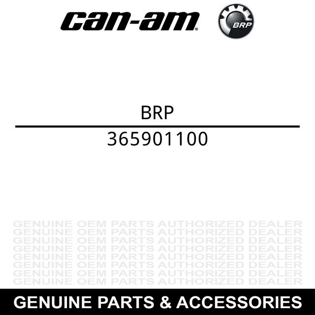 BRP 365901100 OEM Hex Tapping Screw 12x3 4 1996-2015 Can-Am Ski-Doo Grand Touring Mach MXZ