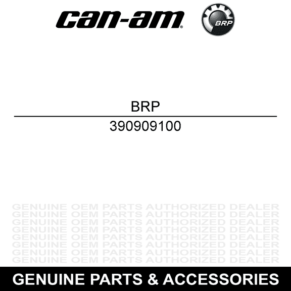 BRP 390909100 Ski-Doo 1996 - 2017 Renegade Avex Rivet
