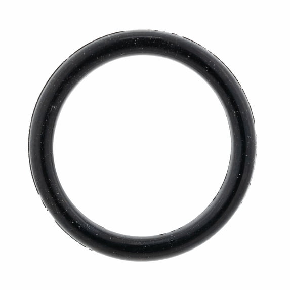 BRP 732401030 Pulley System O-Ring Ski-Doo OEM Expedition Summit Renegade MXZ Skandic