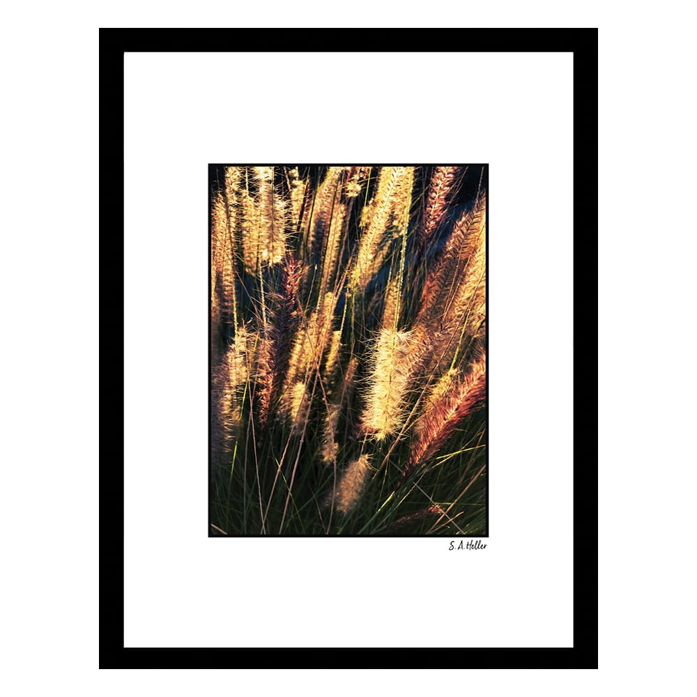 BRUSH WEEDS Framed Printed Photograph