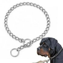 BRWJ Iron Dog Chain Decorative Collar Pet Training Walking Choker 30/40/60/65cm