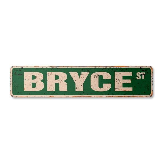 BRYCE Vintage Plastic Street Sign Childrens Name Room Sign | Indoor/Outdoor | 24" Wide