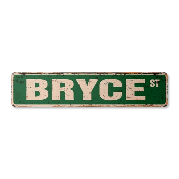 BRYCE Vintage Plastic Street Sign Childrens Name Room Sign | Indoor/Outdoor | 24" Wide