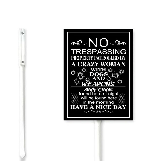 Warnschild "Beware Of Dog" Aus Aluminium – 24,4x19,6 Cm, Rostfrei, Mit Aufschrift & Videoüberwachungshinweis
