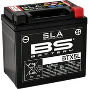 BS Battery BTX5L Battery