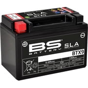 BS Battery BTX9 Battery