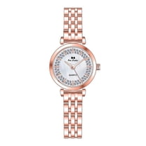 BS New Style Watch Full Diamond Ins Style Small Just with Light Luxury Women's Watch Quartz Watch Popular Fashion