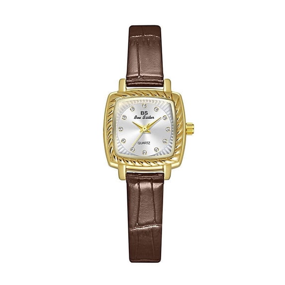 BS New Watch Special Interest Light Luxury Belt Small Brown Multi-Color Women's Watch Quartz Watch Fashion