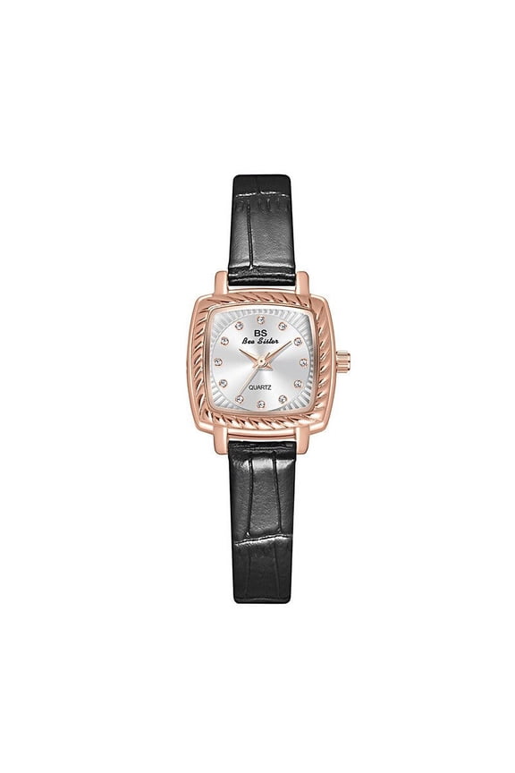 BS New Watch Special Interest Light Luxury Belt Small Brown Multi-Color Women's Watch Quartz Watch Fashion