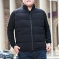 thumbnail image 1 of BSDJILFG Big and Tall Mens Puffer Vest Full Zip Up Quilted Vest Oversized Fit Sleeveless Raglan Outerwear for Camping, 1 of 7