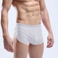 thumbnail image 1 of BSDJILFG Mens Lounge Shorts 3" Inseam Silk Boxer Briefs Quick Dry Swim Trunks Pajama Sleep Shorts Swim Bottom for Men M-XXL, 1 of 5