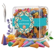 BSHAPPLUS  200PCS Traditional Incense Cones,Incense Cones Assorted,Incense Holder Cones,Incense Burner Cones,Solid Bullet Cone Mixed 8 Flavors Lavender Rose Jasmine Osmanthus Sage Sandalwood