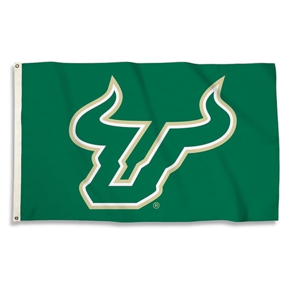 BSI 3 Ft. X 5 Ft. Flag W/Grommets