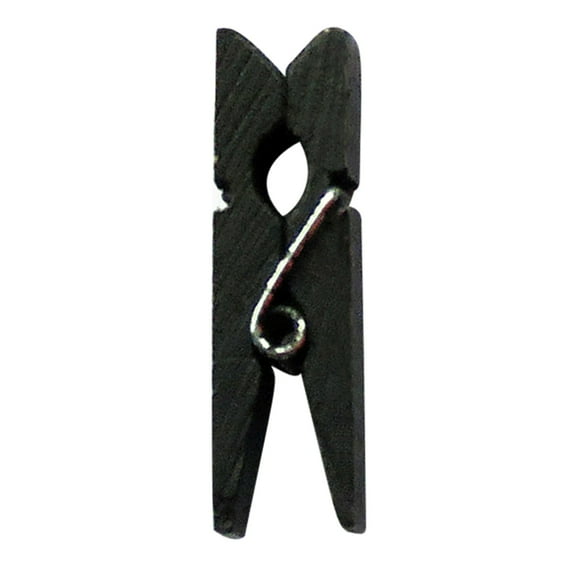 BSJJY 100Pcs Wooden Cloth Pins, 1.4 Inch Colorful Clothespins, Drying Line Pegs Strong, Springs Clothpins for Baby Shower, Hanging Clothes, Decor (Black)