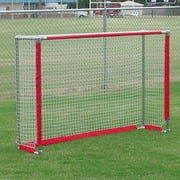 BSN Sports 6 x 4 Backyard Soccer Goal