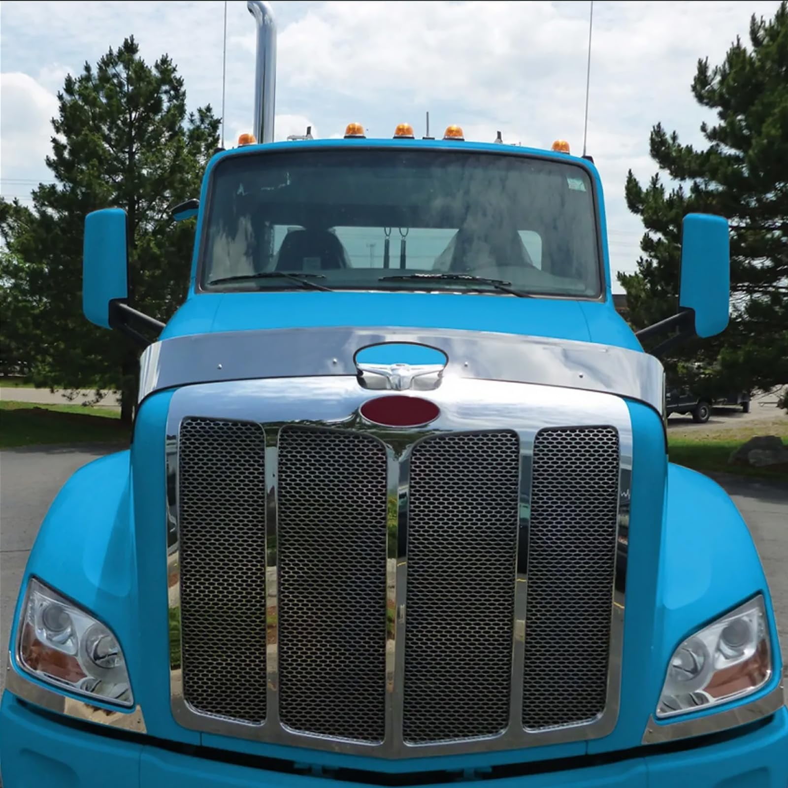 BST BSSP Front Hood Shield Bug Deflector Compatible with 2013 UP ...