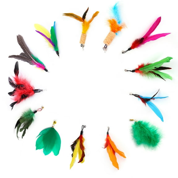 13 PCS Cat Feather Toy, Multiple Styles Feather Refills for Cat Toys, Replacement Feather Toy with Bell Refills, Interactive Catcher Teaser and Funny Exercise for Kitten or Cats