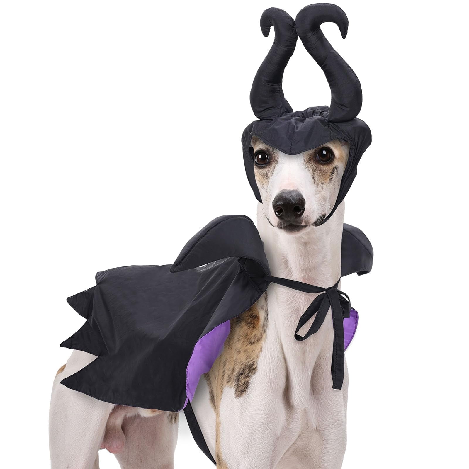 2 Pcs Dog Halloween Costume Set,Funny Pet Vampire Cape and Devil Horns ...
