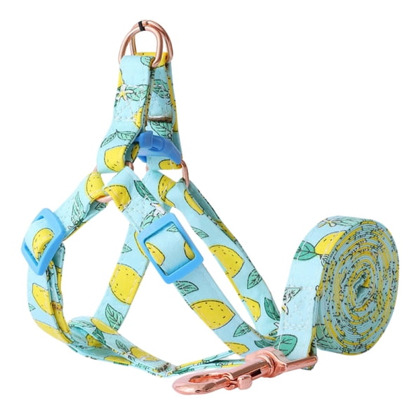 Cat Harness with Leash, Fruit Pattern Step in Dog Harness Vest, Adjustable Lightweight Pet Harness for Cat Puppy Small Dogs Lemon S