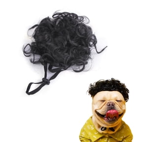 Curly Dog Wigs, Dog Cosplay Wigs, Pet Wigs for Halloween, Christmas, Parties, Festivals, Funny Headwear Apparel Toy for Cat Small Medium Large Dogs Black Curly Hair