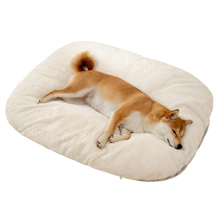 Covered dog 2024 bed medium