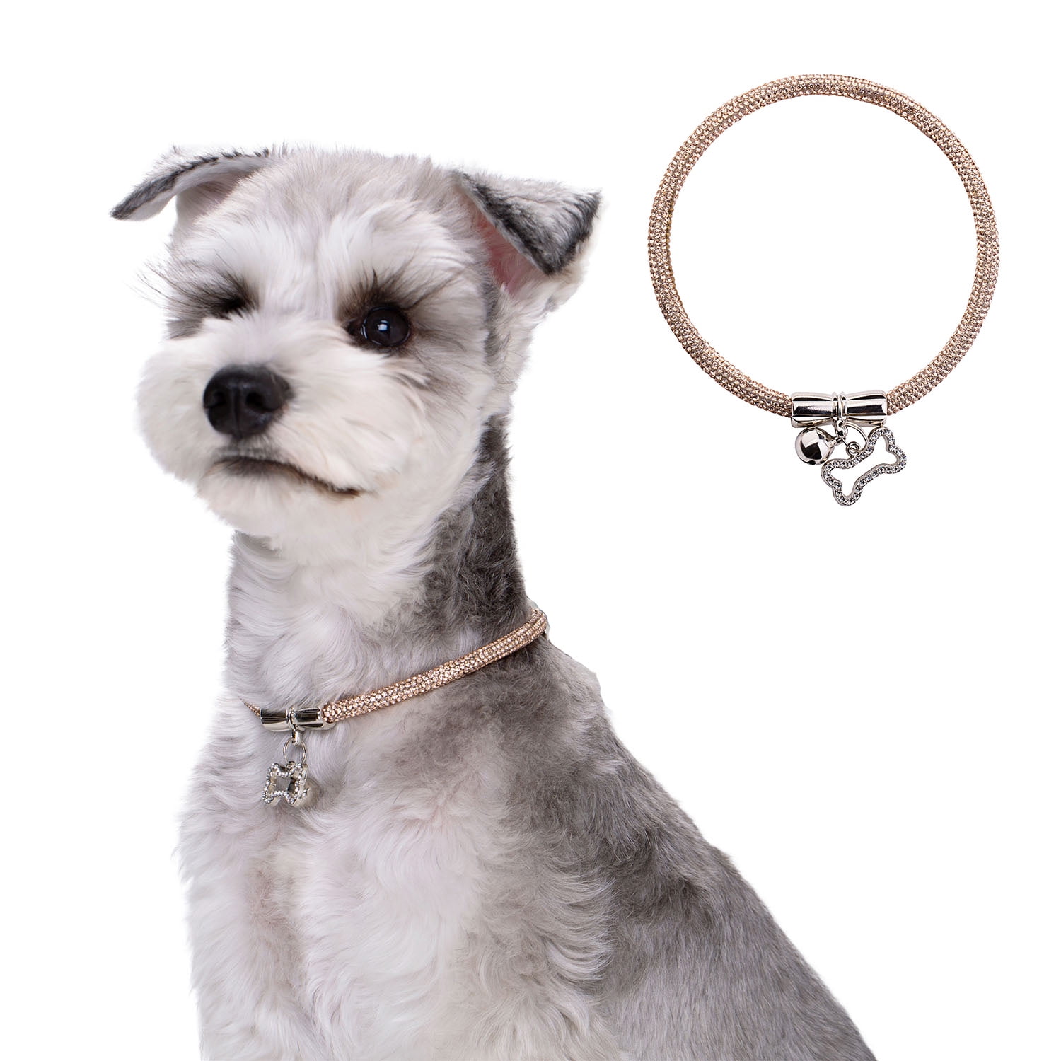 Doggy Designer Dog Collar And Lead