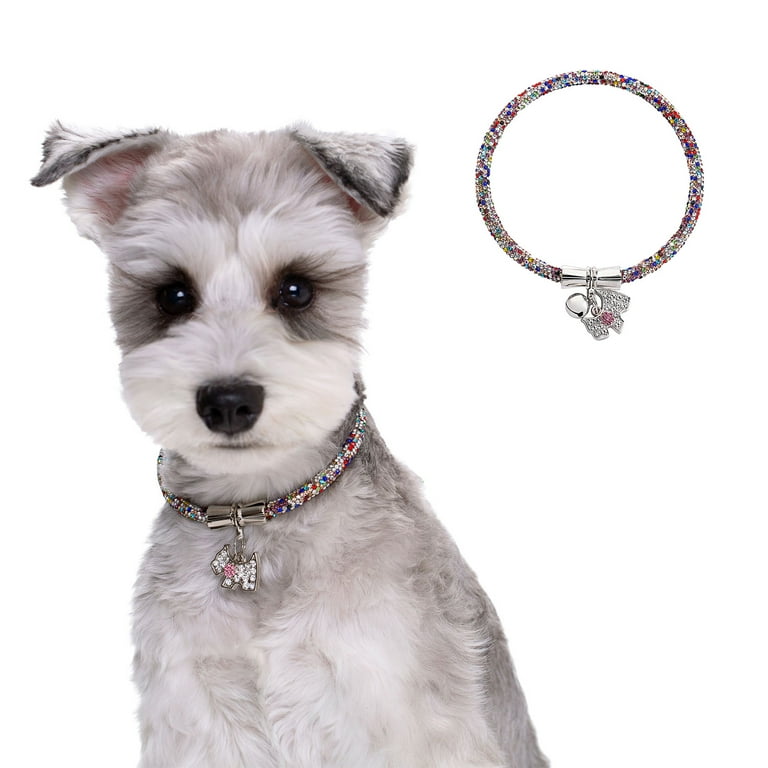 Collar with bell for clearance puppy