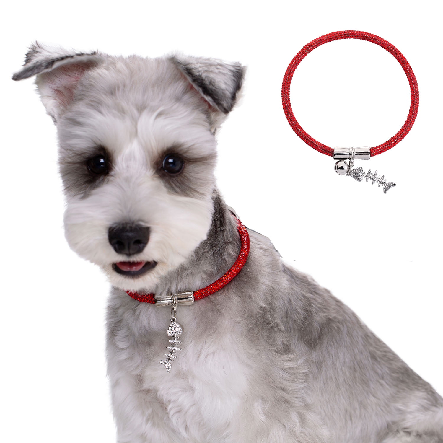 Cute red top dog collar
