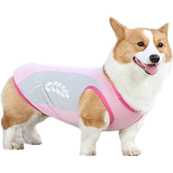 BT Bear Dog Cooling Vest Puppy Shirt Summer Cool Breathable T-Shirt Costume for Small Medium Large Dog (S, Pink)