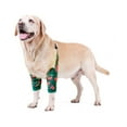 thumbnail image 1 of Harikaji Dog Elbow Protector, Dog Front Leg Recovery Protector for Prevent Licking Wound, Elbow Protectors with Mesh Pad for Medium Large Dogs Cherry 3XL, 1 of 5