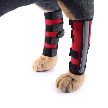 BT Bear Dog Leg Brace, 2PCS Knee Leg Protector Hock Joint Extra Supportive for Loss of Stability (M, Red)