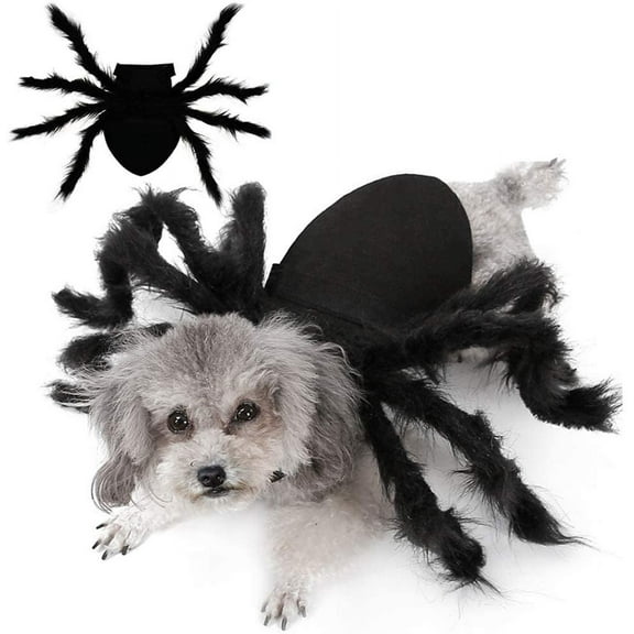 BT Bear Halloween Dogs Costume, Furry Giant Simulation Spider Cosplay Dress up, Halloween Pets Accessories Decoration for Puppy Small Medium Dogs S