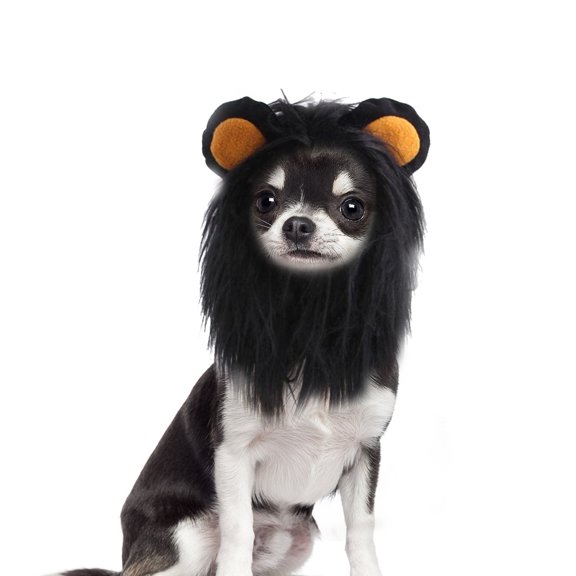 BT Bear Halloween Lion Mane Wig Costume, Small Dog Lion Hair, Adjustable Puppy Dress Up Hat, Kitten Kitty Hair Mane with Ears for Christmas Cospaly Party Black L