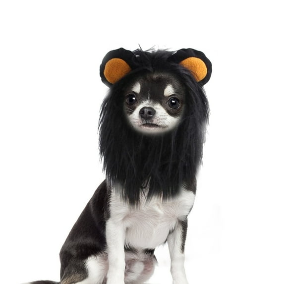 BT Bear Halloween Lion Mane Wig Costume, Small Dog Lion Hair, Adjustable Puppy Dress Up Hat, Kitten Kitty Hair Mane with Ears for Christmas Cospaly Party Black L