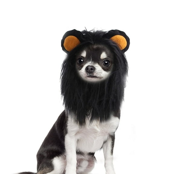 BT Bear Halloween Lion Mane Wig Costume, Small Dog Lion Hair, Adjustable Puppy Dress Up Hat, Kitten Kitty Hair Mane with Ears for Christmas Cospaly Party Black S